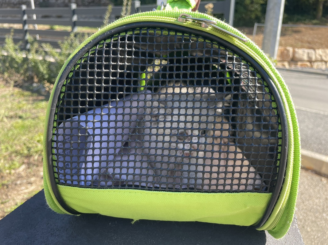 C27929D7-6942-4FE8-9D44-670053A963CB