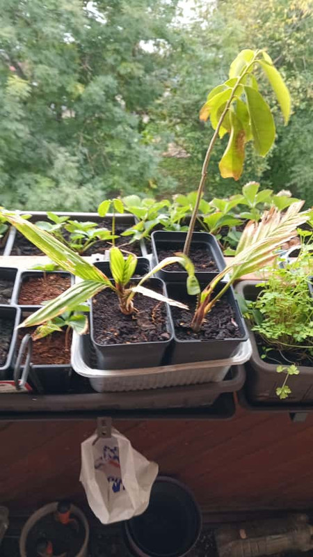 Obrázek WhatsApp, 2025-10-05 v 13.19.57_6c3b0cfc