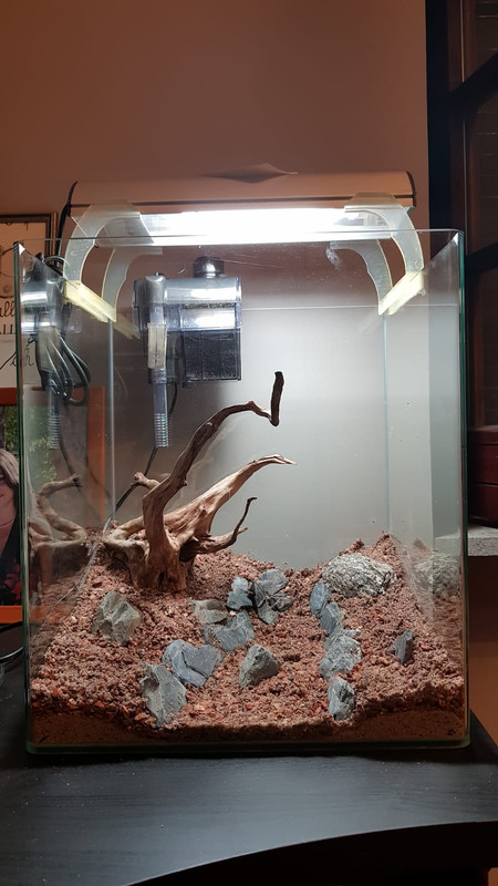 D2680323-9D05-41E5-A49F-F6DDD8CD7C9E