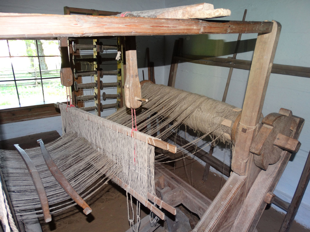 129 - DSC01317 (Milady)