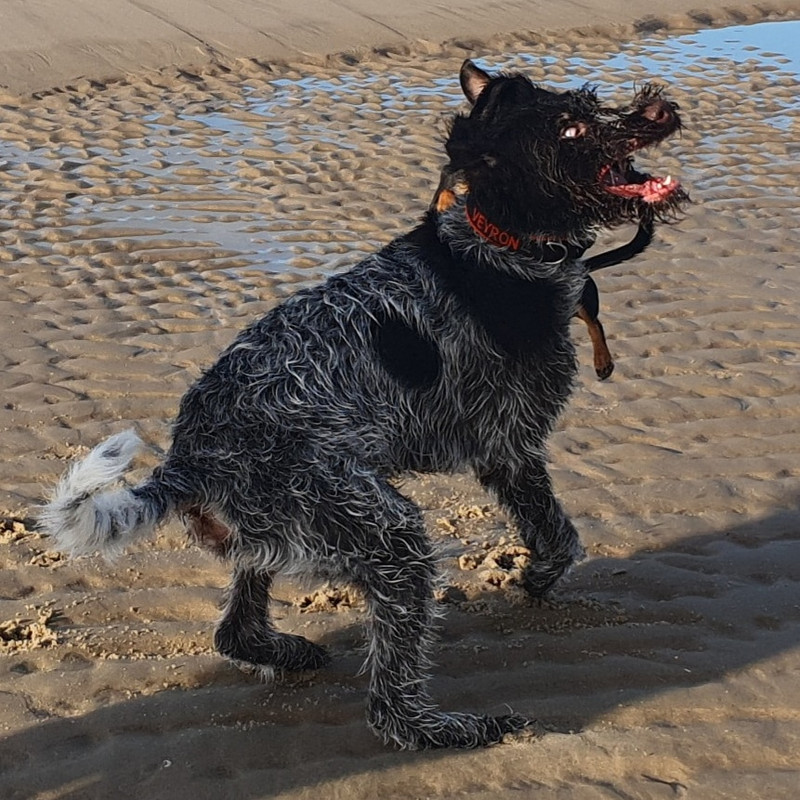 IMG_20201127_194458_651