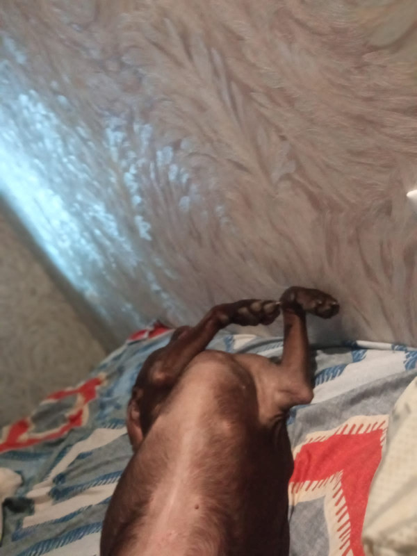 370F675A-81BB-47D8-83C3-9C80A99848DF