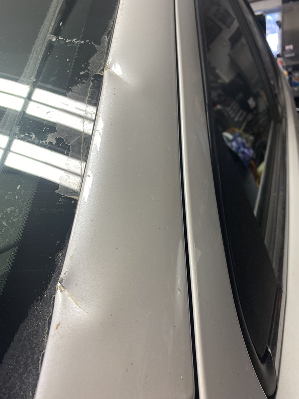 DDCB5D34-2C7D-4B10-8A3B-8414996FC198