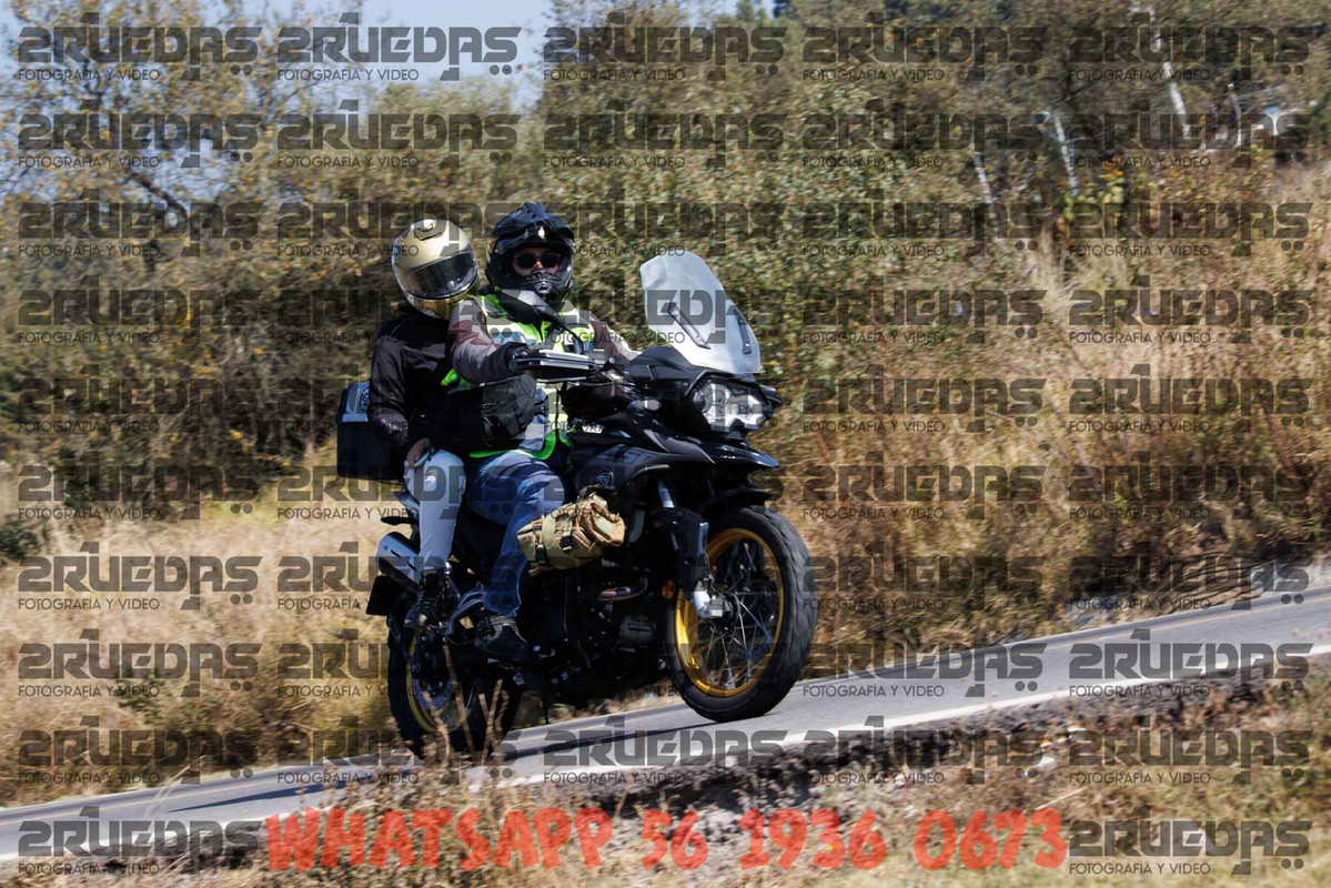 MG 8776 — Postimages