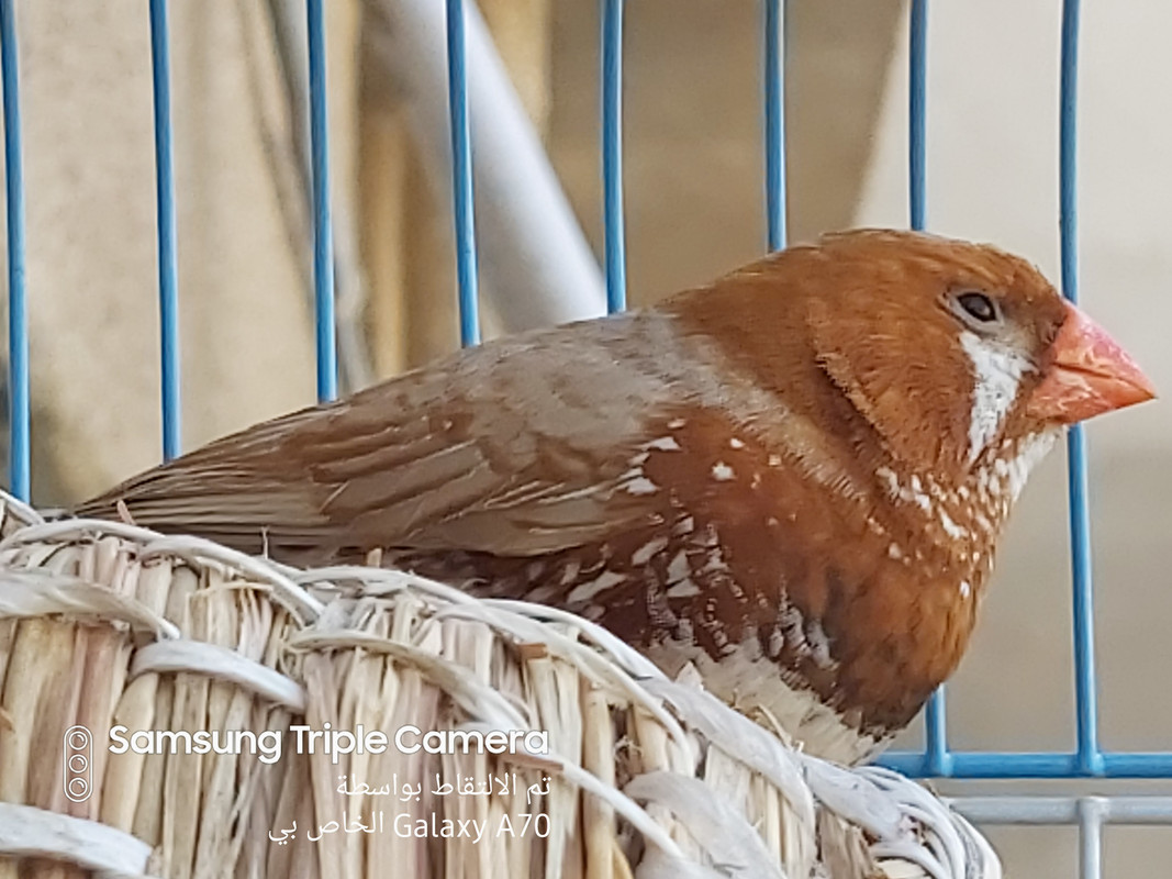 ٢٠١٩١٠١١_١٤٥٩١٦