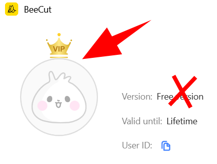 life-time-Bee-Cut.png