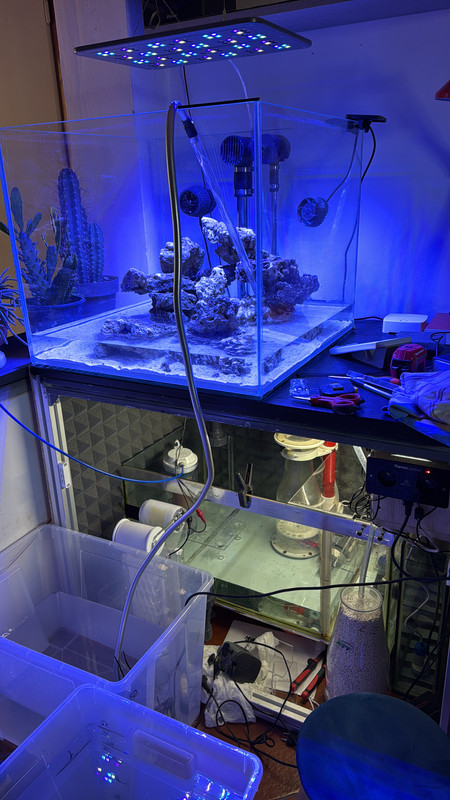 A4430CAD-04A1-4A7C-B242-25B60D481E15