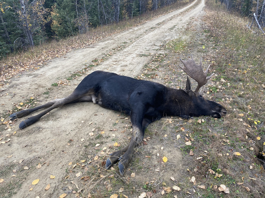 A266D463-22DC-4D00-8336-A5E859DFF8EE