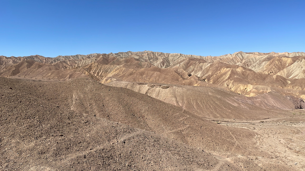 474DC23D-4D95-42A0-A8A4-ACD77A4F6323