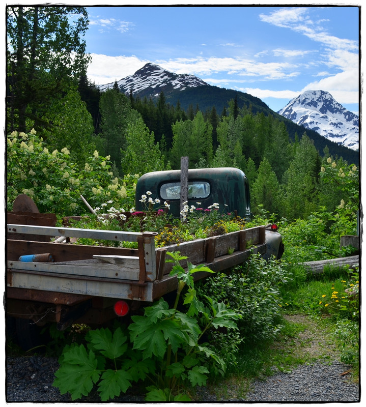 20 de junio. Turnagain Arm, Crow Creek Mine, y… zarpamos! - Alaska por tierra, mar y aire (9)