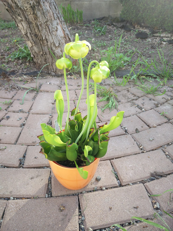 56673194_789411431445282_6705900424005681152_n