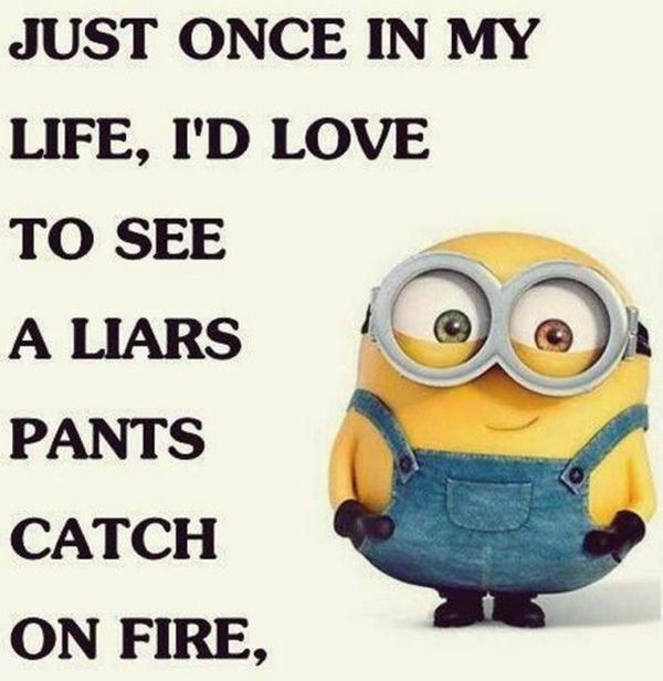 minion-memes-6