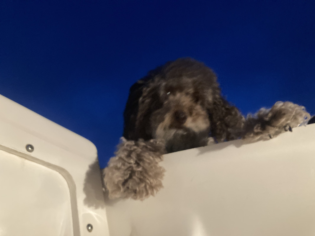 B4ABEB2E-C3EE-4290-903C-4E74D95C5802