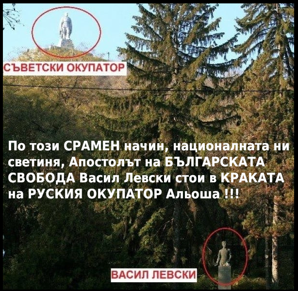 vasal-3.png