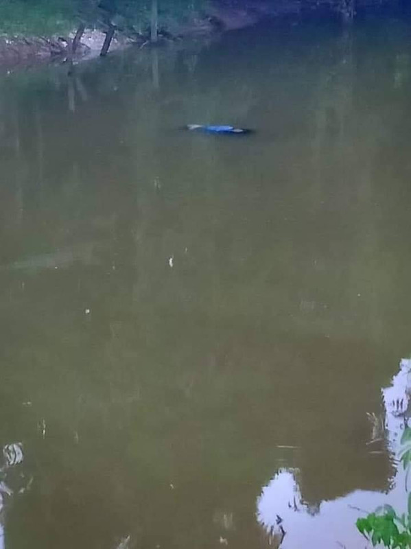 64682700-400028900640194-5435717215477301248-n.jpg