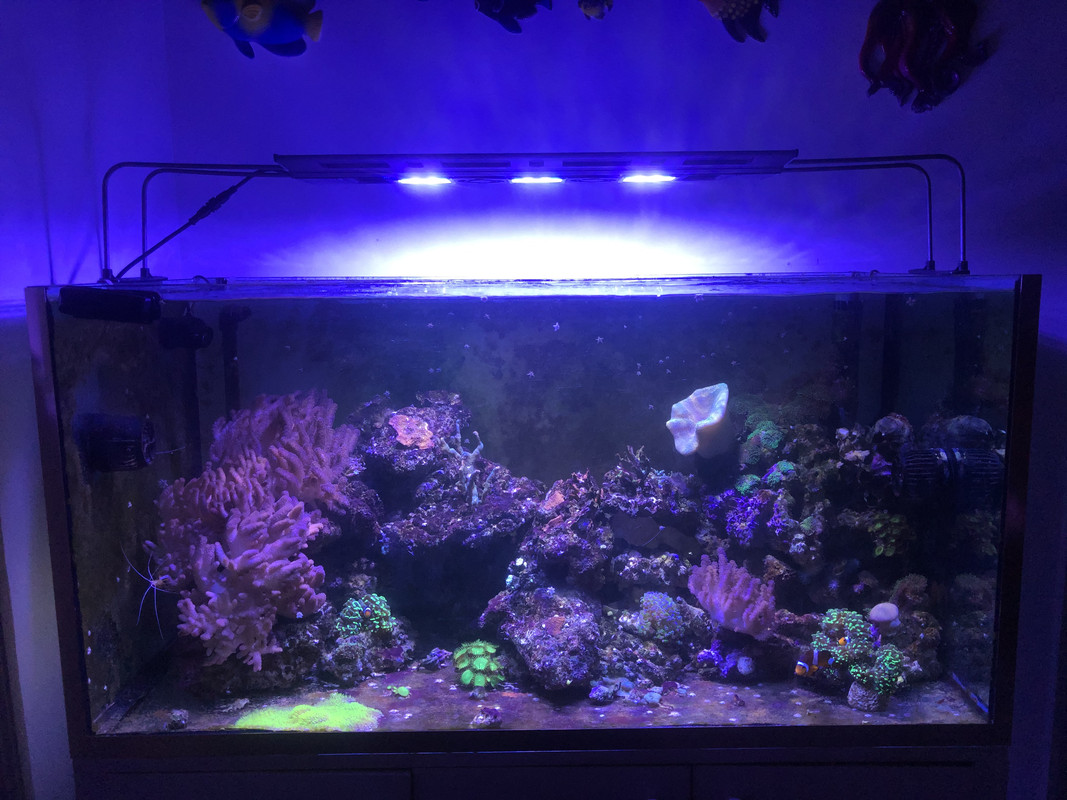 76C4CBDE-8F23-4529-917C-307A955C13DF