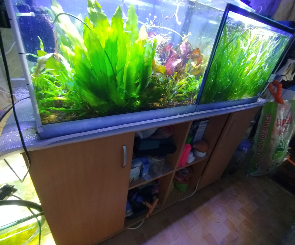 два по 80 и тумба