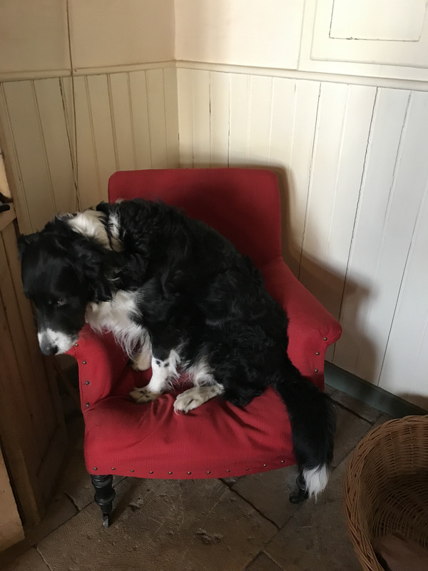 E8390DB0-3C83-4E0E-985A-6D84DA1AEDC9