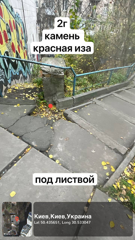 photo 2025 11 04 04 58 18