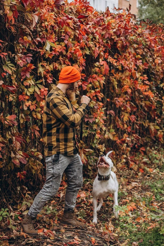 A1CC81C0-22E8-448D-BA27-B3C6C7602E9A