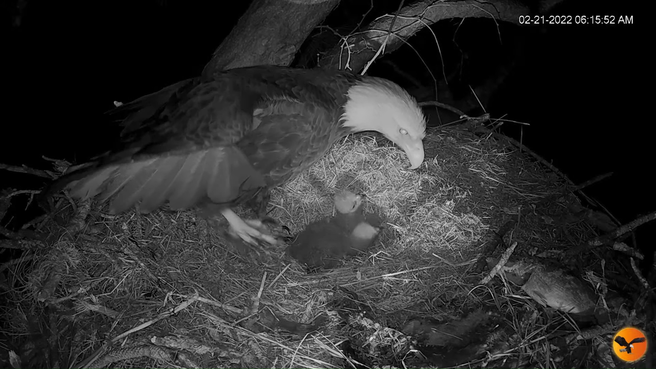 EC 4K Overhead Cam 15-4-3 screenshot