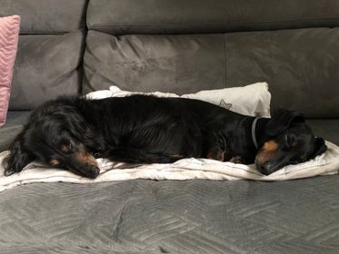 [Image: 344533453-1231373904210507-5399870840640462166-n.jpg]