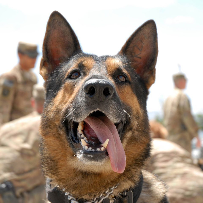 11059949_843155995781372_6872455054193400260_o