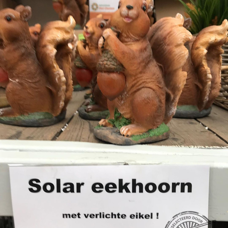 taalvoutjes-20200208-232611-2.jpg