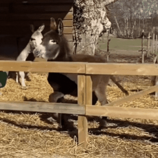 Kopie-von-Kein-Titel-3