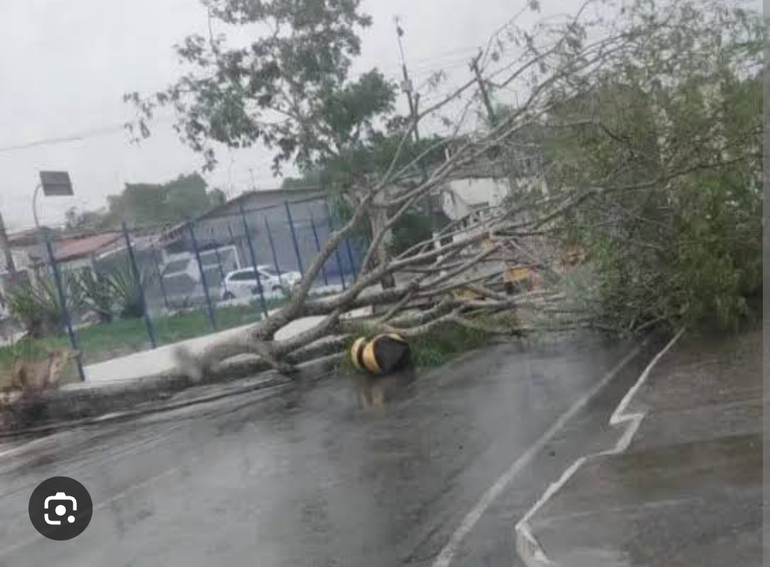 CORTINA DE CHUVA OU CORTINA DE FUMAÇA? Decreto em Alagoinhas expõe mais do que tenta esconder