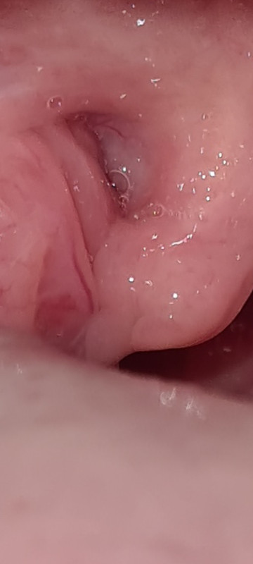 Screenshot 20260228 174728 Gallery