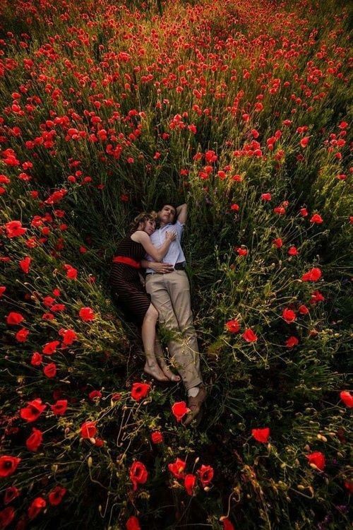 3d32f4c5e943ed959d3595cdc495859d