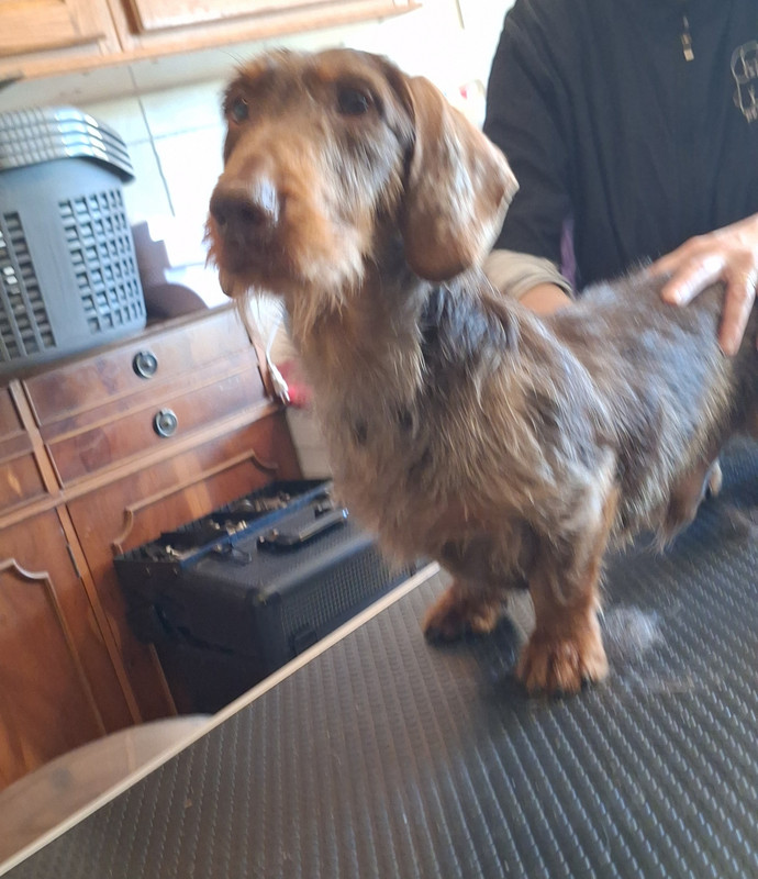 [Image: 20250305-094106.jpg]