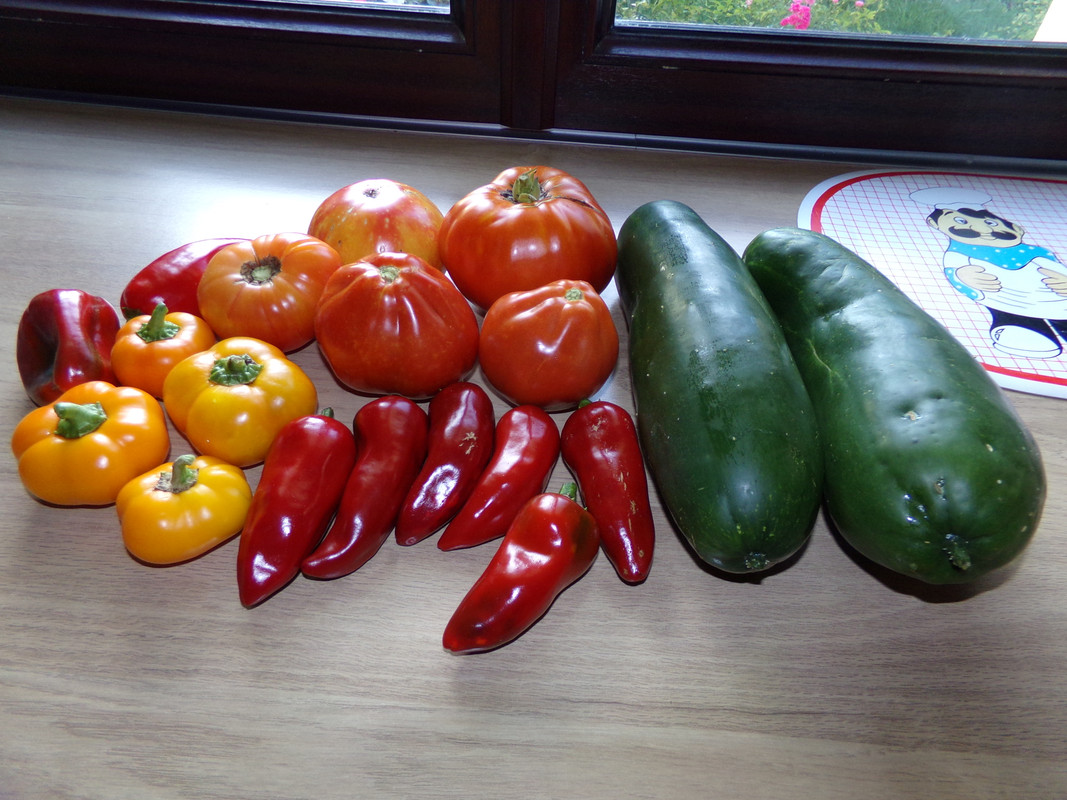 récolte retour de vacances