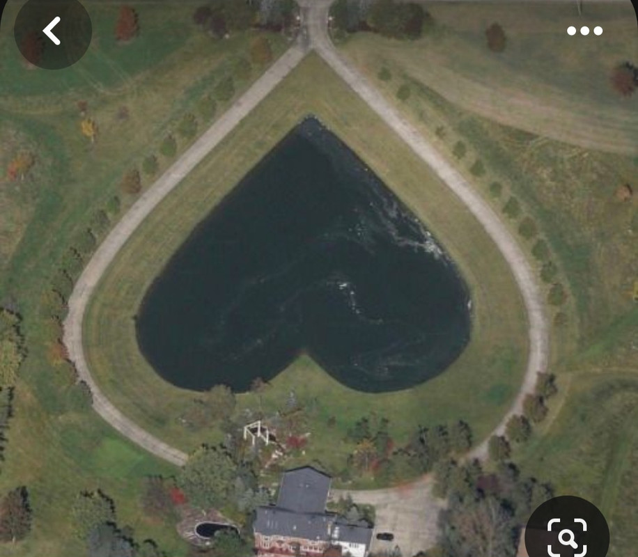 Screenshot_20240214_175229_Pinterest