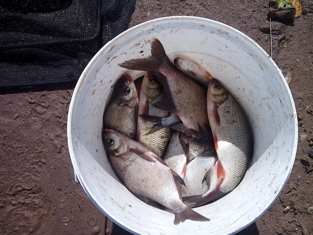 Крест 13.08.14 г.01