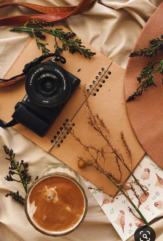 Screenshot_20231015_200703_Pinterest