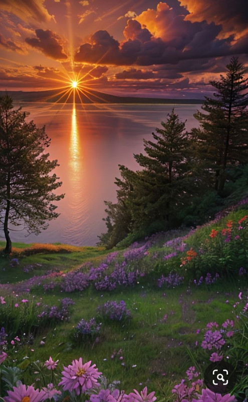 Screenshot_20240218_201844_Pinterest