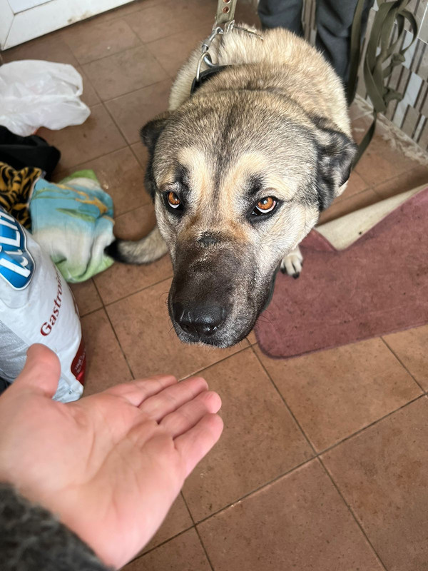 WhatsApp Image 2024-01-03 at 14.03.51 (1)