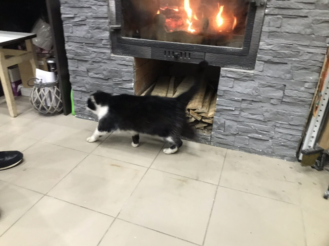 3EE01684-B51A-475A-A02E-F7DF9F30C0A9