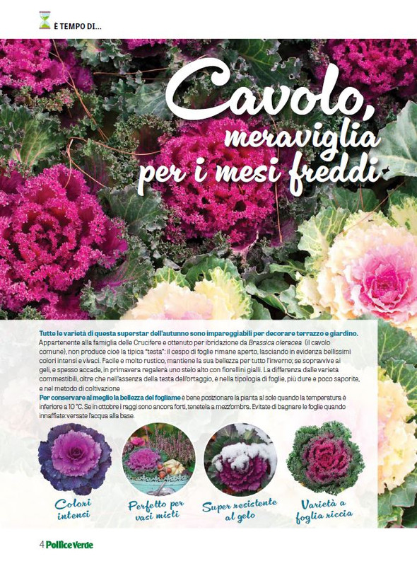 Pol Ver Ott-Nov 2023 (1)