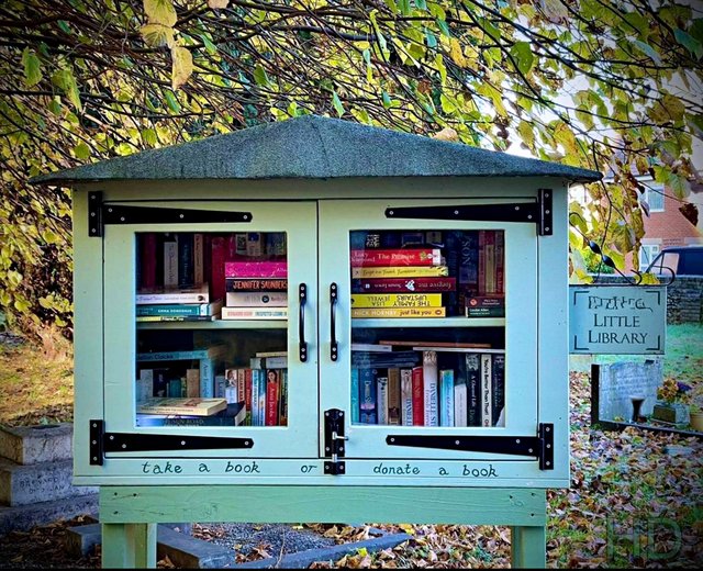 little-library-HD.jpg