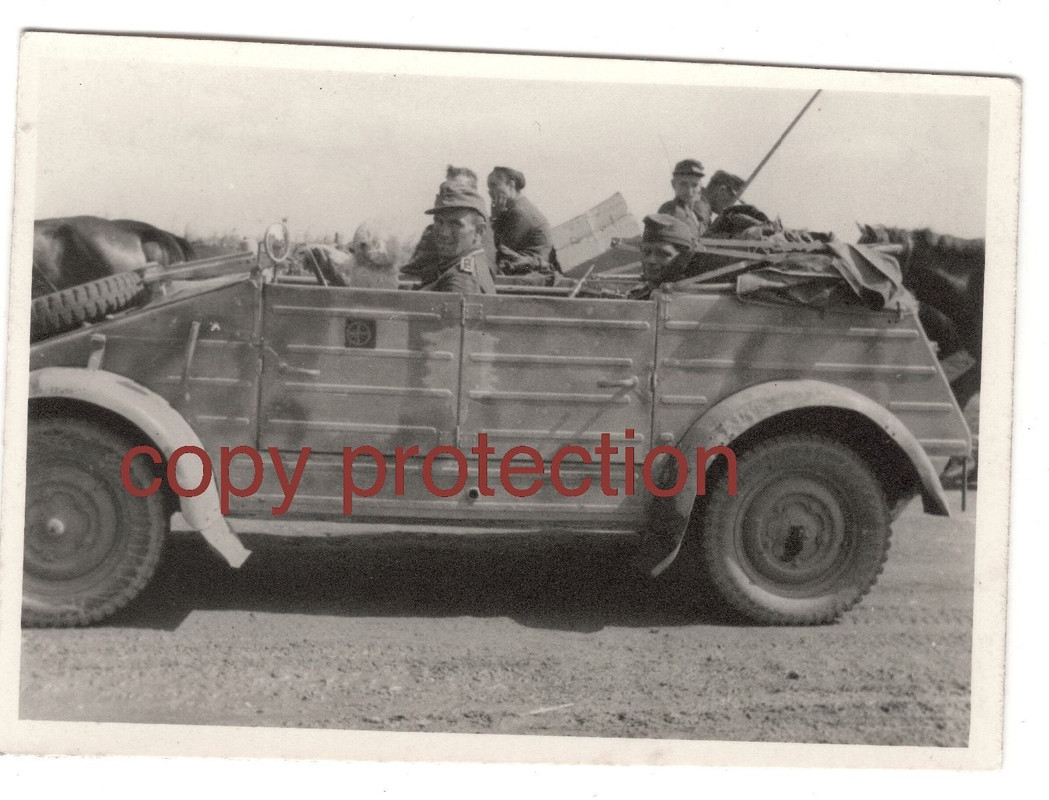 VW 82 KÜBELWAGEN 13.PANZER-DIVISION Hund am Steu