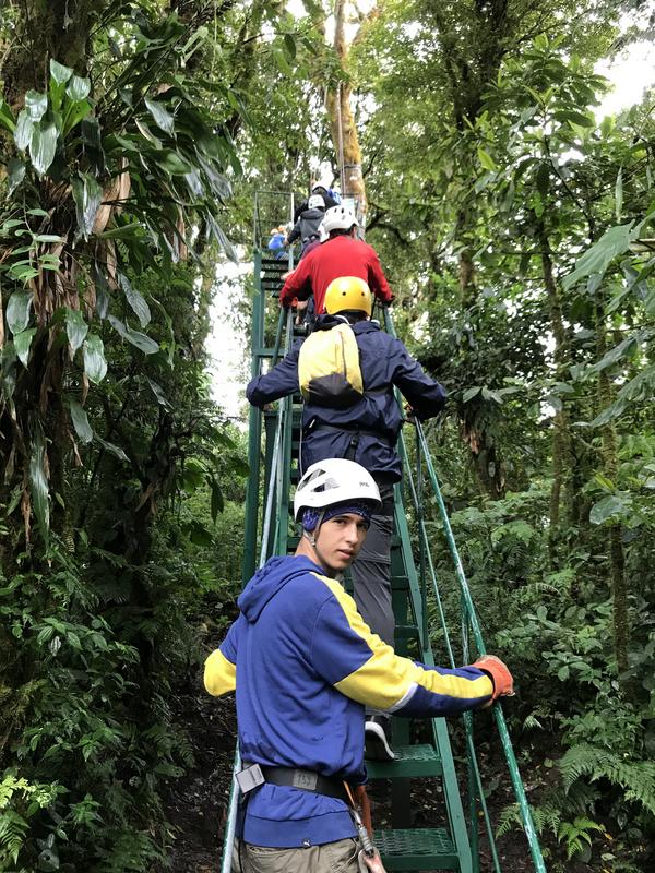 DE TORTUGAS Y PEREZOSOS. COSTA RICA 2019 - Blogs de Costa Rica - DIA 11: TIROLINAS EN MONTEVERDE Y TOUR NOCTURNO POR LA SELVA (4)