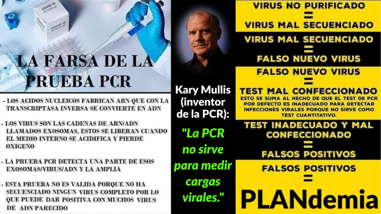 FALSA-PCR.jpg