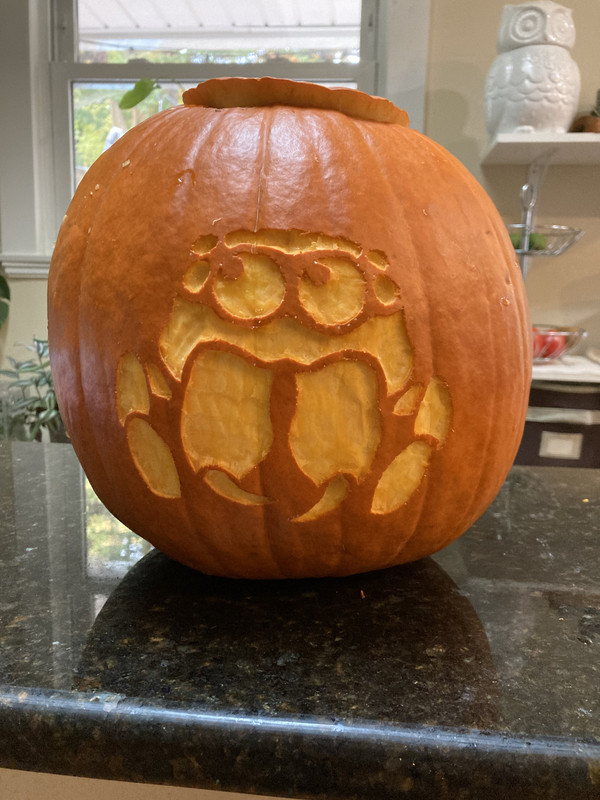 22298EF4-7EC4-4F22-8879-DCFBCA30C5A0