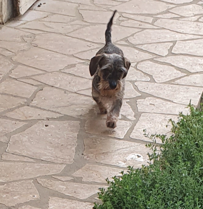 [Image: 20200810-133749.jpg]