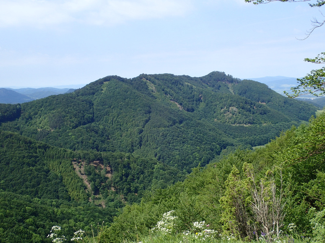 2019_0609G_STRAŻOWSKIE0042