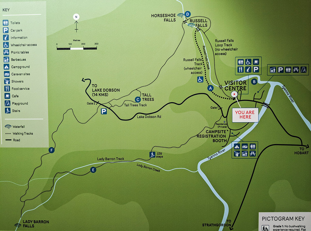 Mount Field National Park - Australia (II): Recorriendo Tasmania (1)