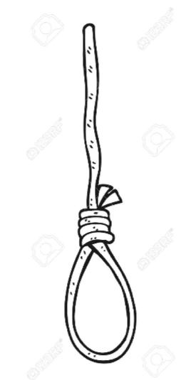 2019_11_22_23.11.21-1